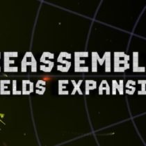 Reassembly Fields STANDALONE RIP-Unleashed