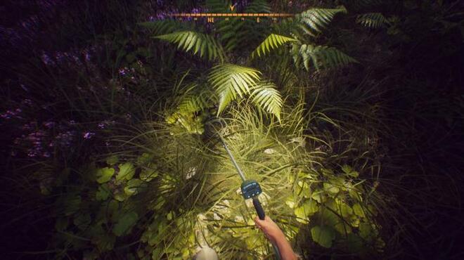 Treasure Hunter Simulator Exploration Update 5 Torrent Download