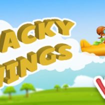 Wacky Wings VR