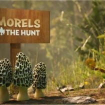 Morels The Hunt-HOODLUM