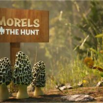 Morels The Hunt Spring-PLAZA