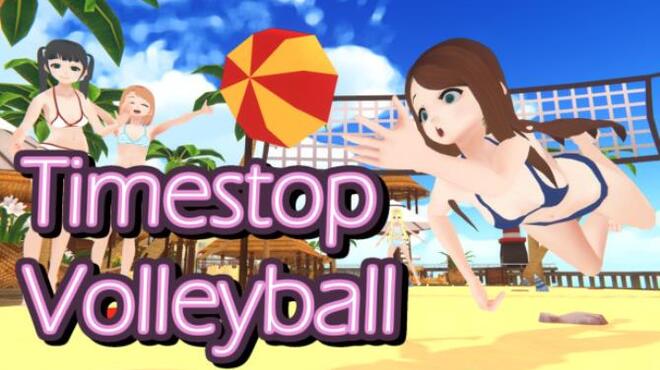 Timestop Volleyball Free Download