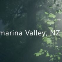 Wakamarina Valley New Zealand-TiNYiSO