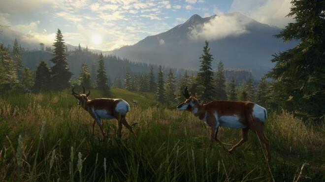 theHunter Call of the Wild Silver Ridge Peaks Update Build 1863225 Torrent Download