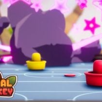 Tropical Air Hockey