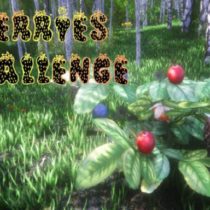 Berries Challenge