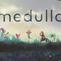 Medulla