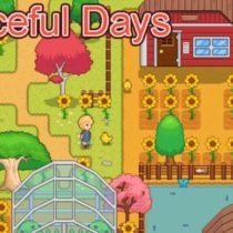 Peaceful Days / 宁静时光