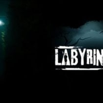 Labyrinthine Build 21072022