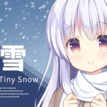 Tiny Snow