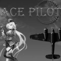 Ace Pilot