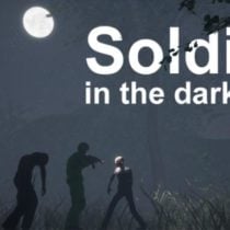 Soldier in the darkness