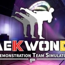 Taekwondo Demonstration Team Simulator-TiNYiSO