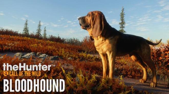 theHunter Call of the Wild Bloodhound Free Download