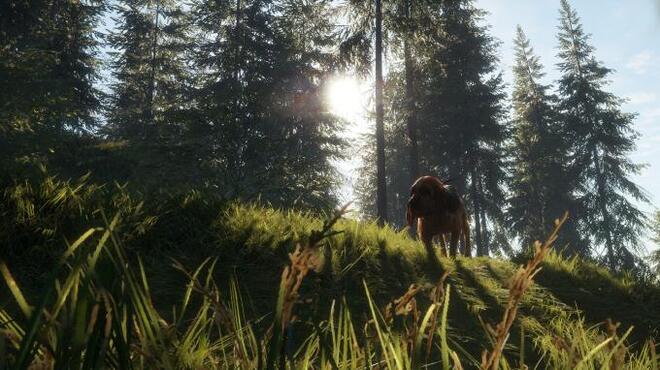 theHunter Call of the Wild Bloodhound PC Crack
