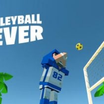 Volleyball Fever