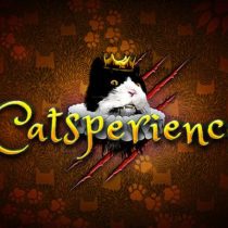 Catsperience-FLT