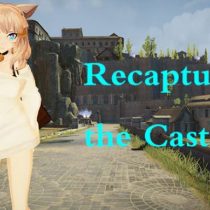 Recapture the Castle