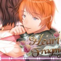 Heart Fragment