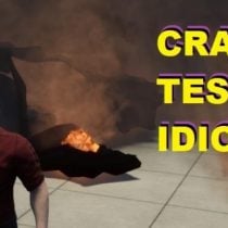 CRASH TEST IDIOT