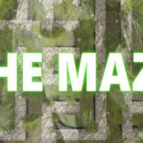 The Maze