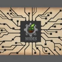 Nodes