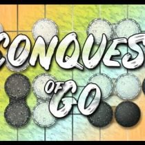 The Conquest of Go