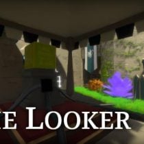 The Looker