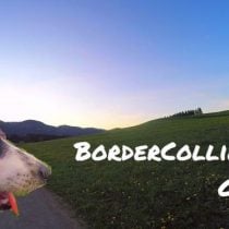 BorderCollie Game