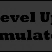 Level Up Simulator