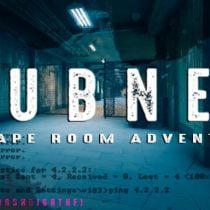 SUBNET Escape Room Adventure-TENOKE