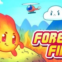 Forest Fire