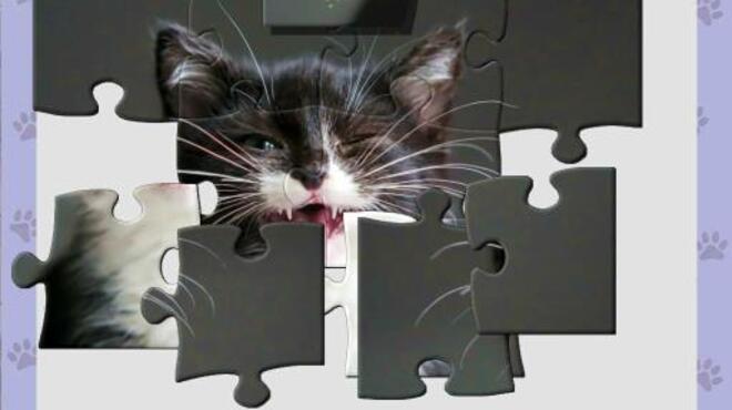 1001 Jigsaw Cute Cats 4 PC Crack