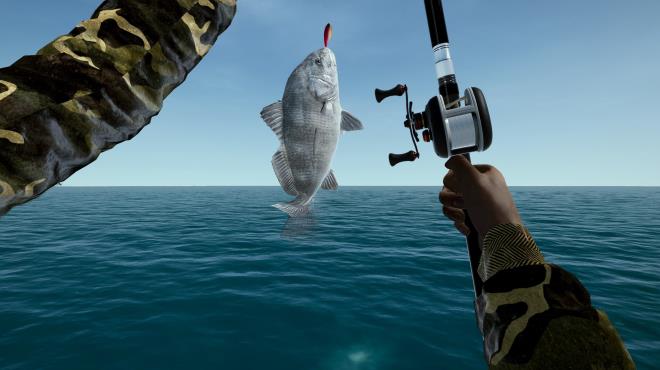 Ultimate Fishing Simulator Florida Torrent Download