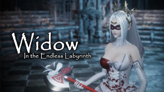 Widow in the Endless Labyrinth Update v1 1 0 Free Download