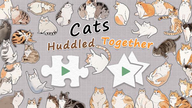 Cats Huddled Together 挤在一起的猫猫们
