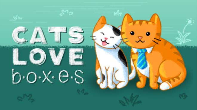 Cats Love Boxes-TENOKE