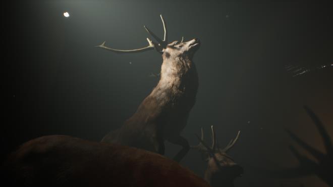 Project 13 Taxidermy Trails Torrent Download