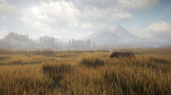 theHunter Call of the Wild Update v2750715 PC Crack
