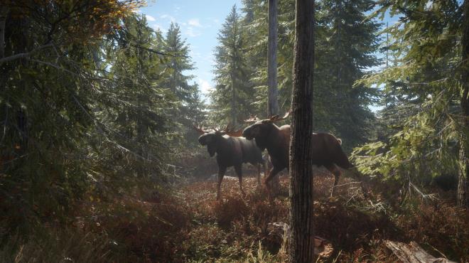 theHunter Call of the Wild Update v2750715 Torrent Download