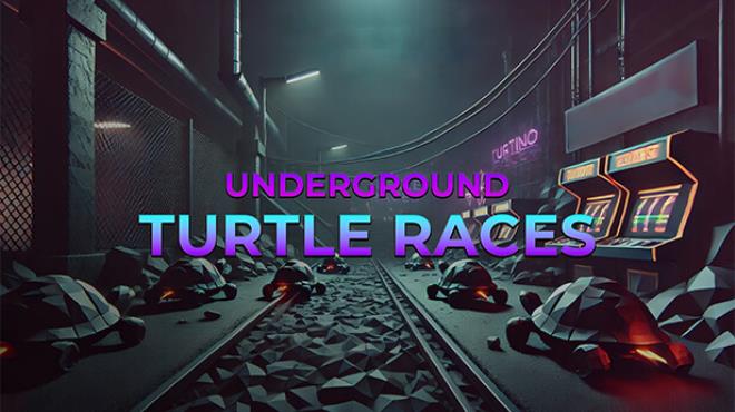 Underground Turtle Races-TENOKE