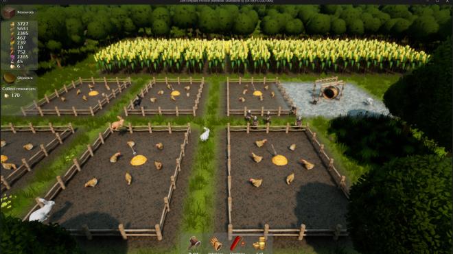 Fields of Gold Torrent Download