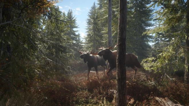 theHunter Call of the Wild Sundarpatan Hunting Reserve Update v2846103 incl DLC Torrent Download