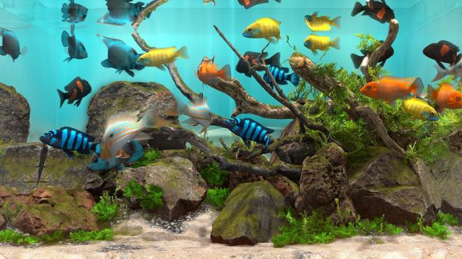 Behind Glass Aquarium Simulator Torrent Download