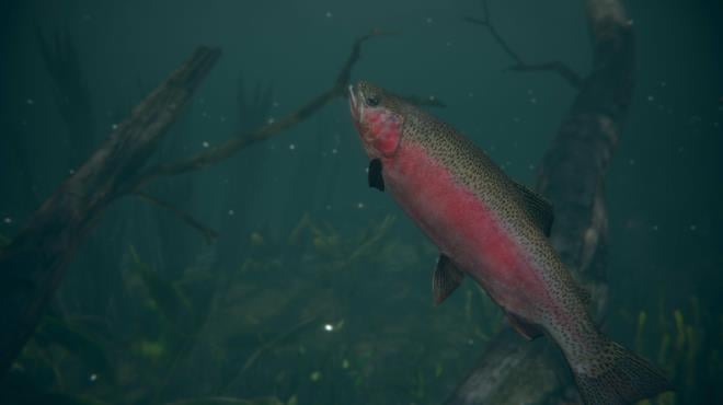 Ultimate Fishing Simulator 2 Torrent Download