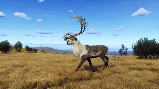 Way of the Hunter Lintukoto Reserve Update v1 26 8 PC Crack