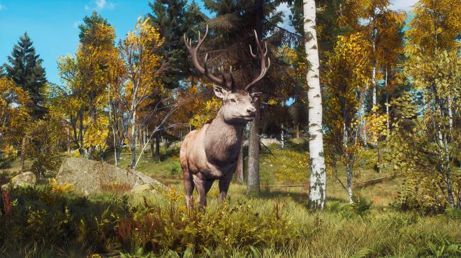 Way of the Hunter Lintukoto Reserve Update v1 26 8 Torrent Download