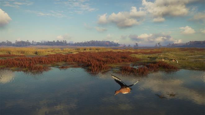 theHunter Call of the Wild Salzwiesen Park Update v2989309 PC Crack