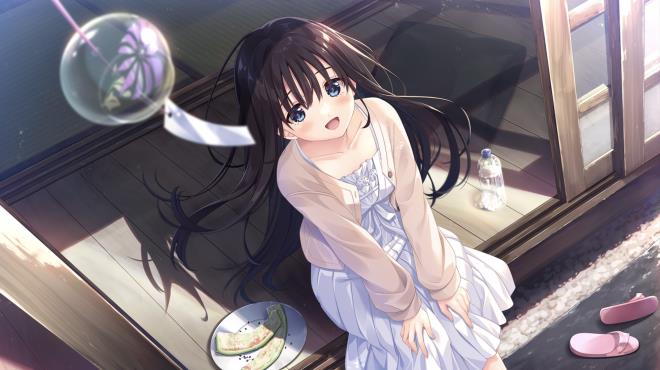 Sickly Days and Summer Traces PC Crack
