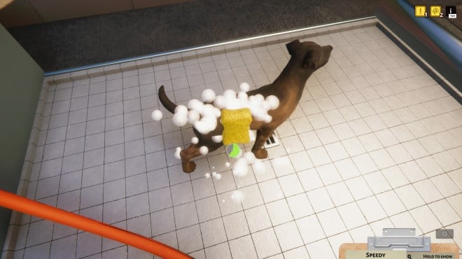 Animal Shelter v1 3 19 38 257 PC Crack